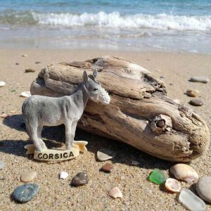 Magnet l'Ane gris Corse