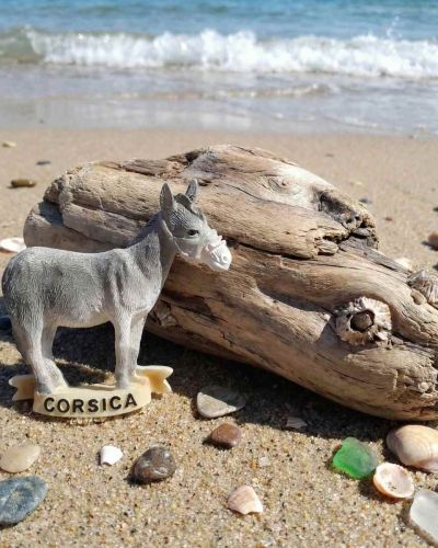 Magnet l’Ane gris Corse