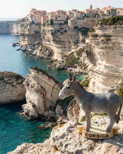 Magnet l’Ane gris Corse