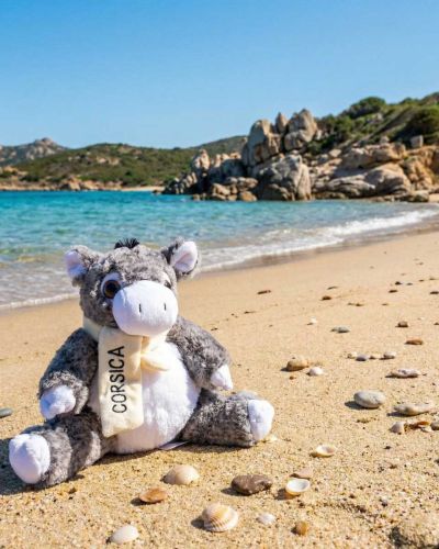 Peluche Ane gris Corse Pm