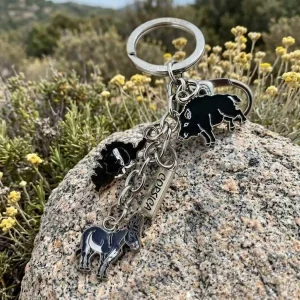 Porte-cles metal corse charms sanglier ane tete de maure