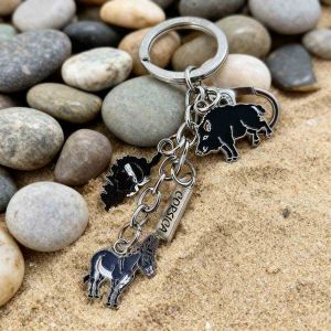 Porte-cles metal corse charms sanglier ane tete de maure sur sable