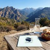 dessous-de-plat-corsica-en-verre-corse-souvenirs (2)
