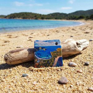 Magnet baie de Rondinara