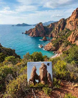 Magnet Calanches de Piana