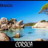 magnet-palombaggia-metal-corse-souvenirs