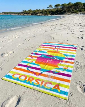 Drap de plage Colorfun « Gm »