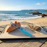 saucisse-sèche-corse-herbes-porc-corse-souvenirs (3)