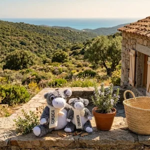 Peluche Ane corse sur une terrasse en oorse