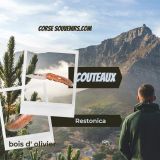 couteau-restonica-bois-olivier-corse-souvenirs